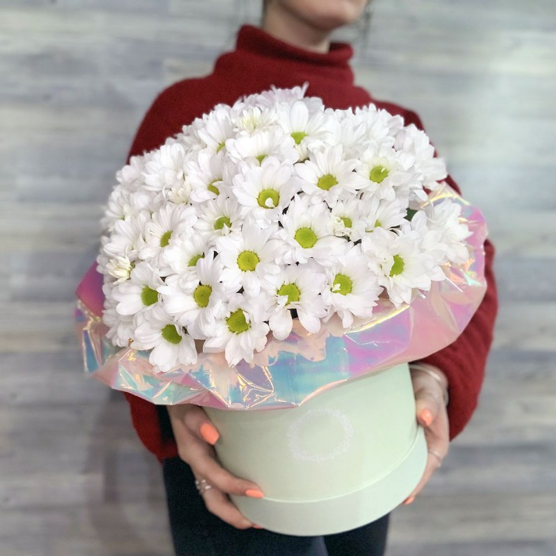 Нет заданного изображения 